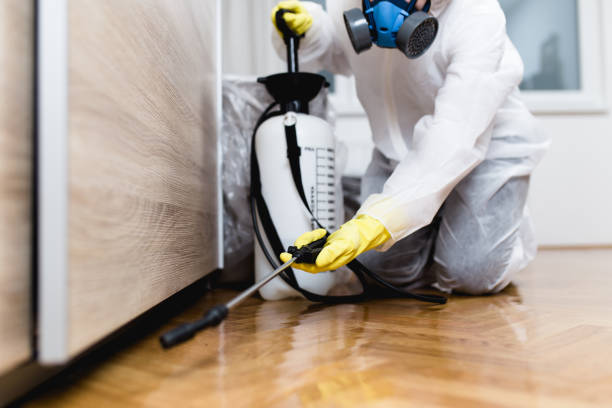Best Pest Control for Homes  in Riddle, OR