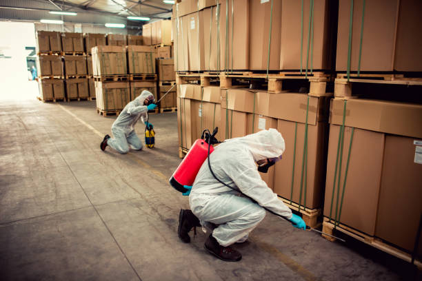 Best Affordable Pest Control Services  in Riddle, OR