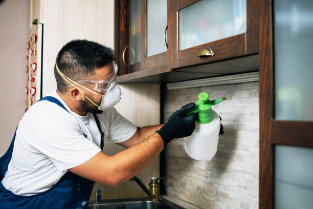 Best Wasp Removal Services  in Riddle, OR