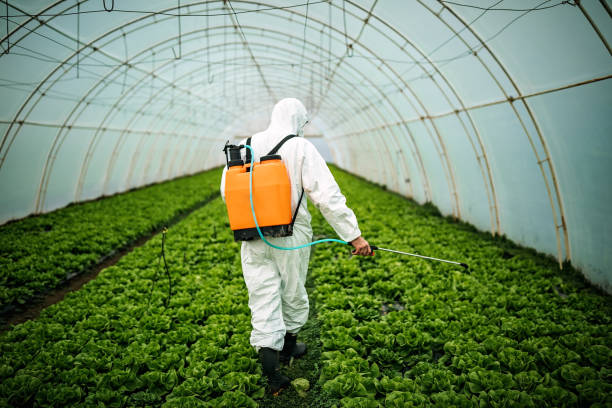 Pest Control Cost in Riddle, OR