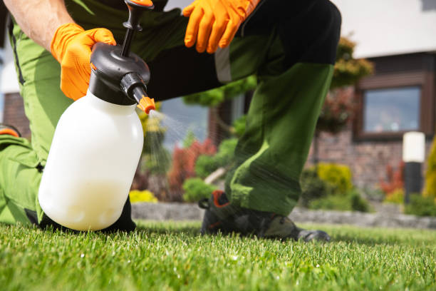 Best Best Pest Control Companies  in Riddle, OR