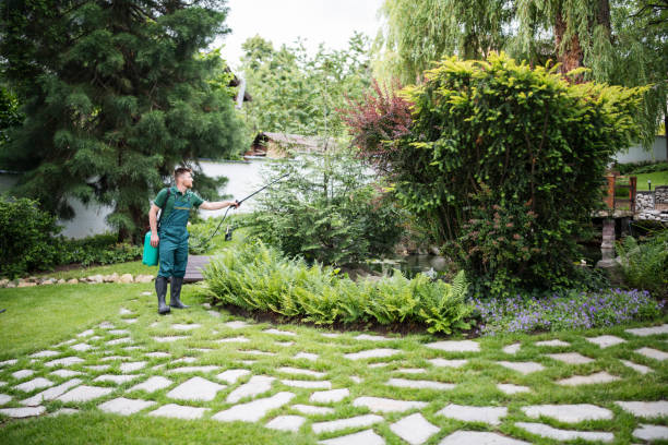 Best Residential Pest Control  in Riddle, OR