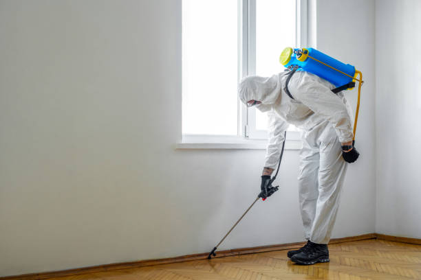 Best Pest Control for Businesses  in Riddle, OR