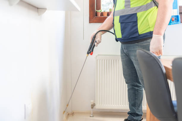 Wasp Removal Services in Riddle, OR