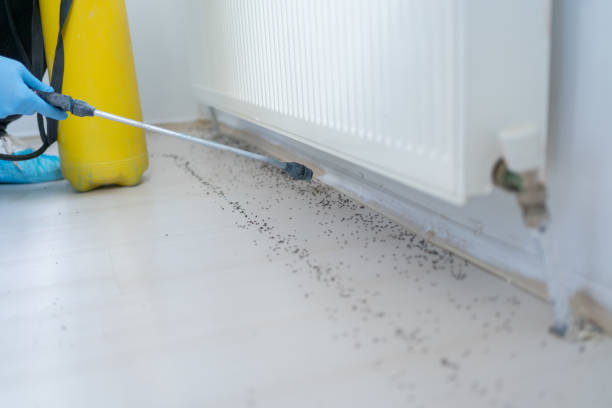 Best Pest Removal Services  in Riddle, OR